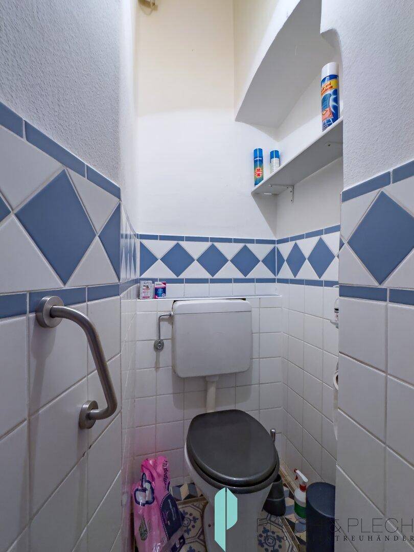 Separate Toilette mit blauen und weißen Fliesen, Haltegriffen und einem kleinen Regal.