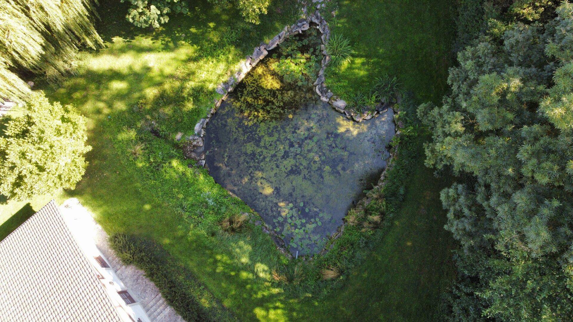 Vogelperspektive auf den idyllischen Gartenteich mit Wasserpflanzen und umgebendem Grün.