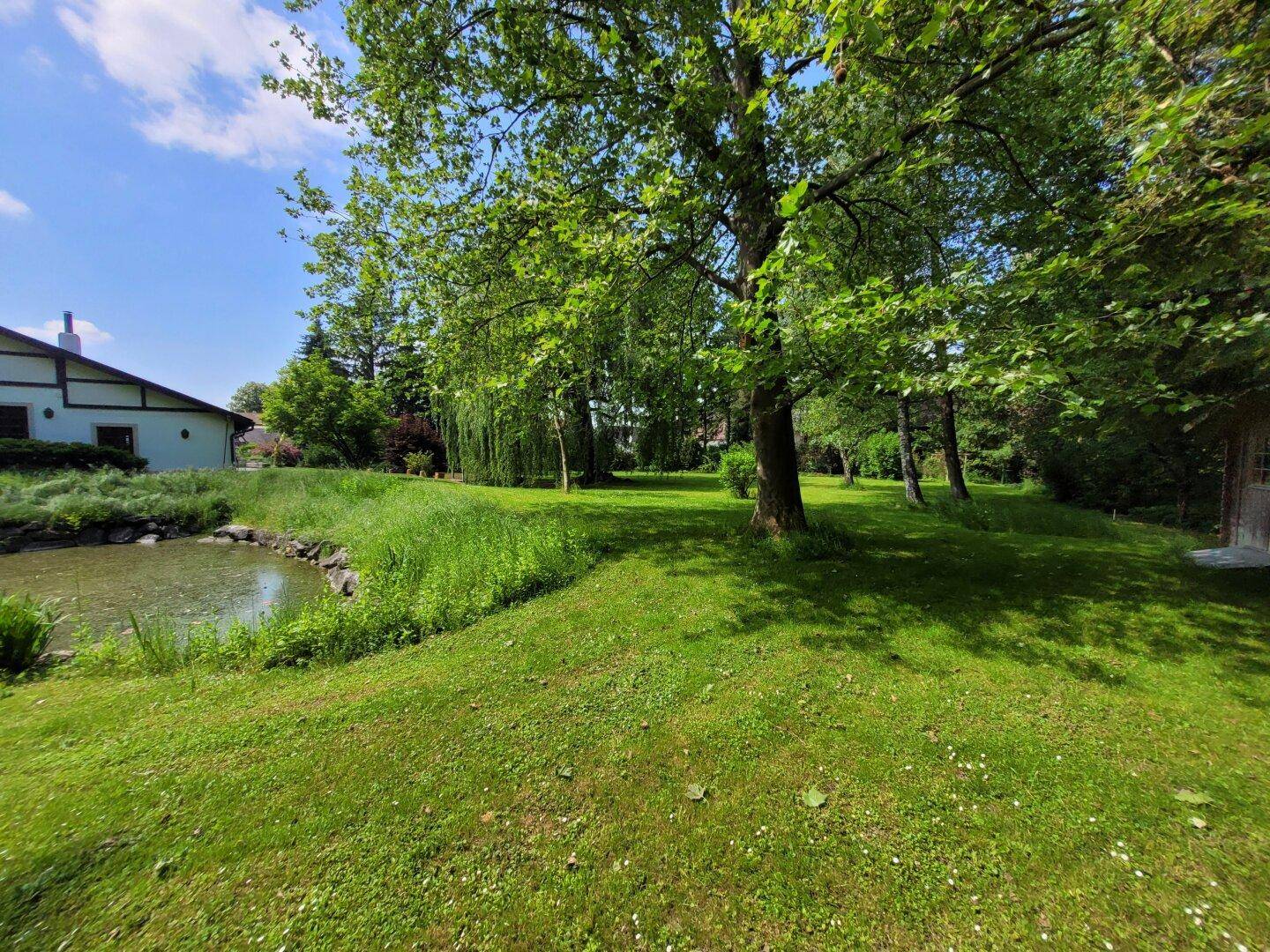 Weitläufiger Garten mit großen Bäumen, Rasenflächen und einem natürlichen Teich.
