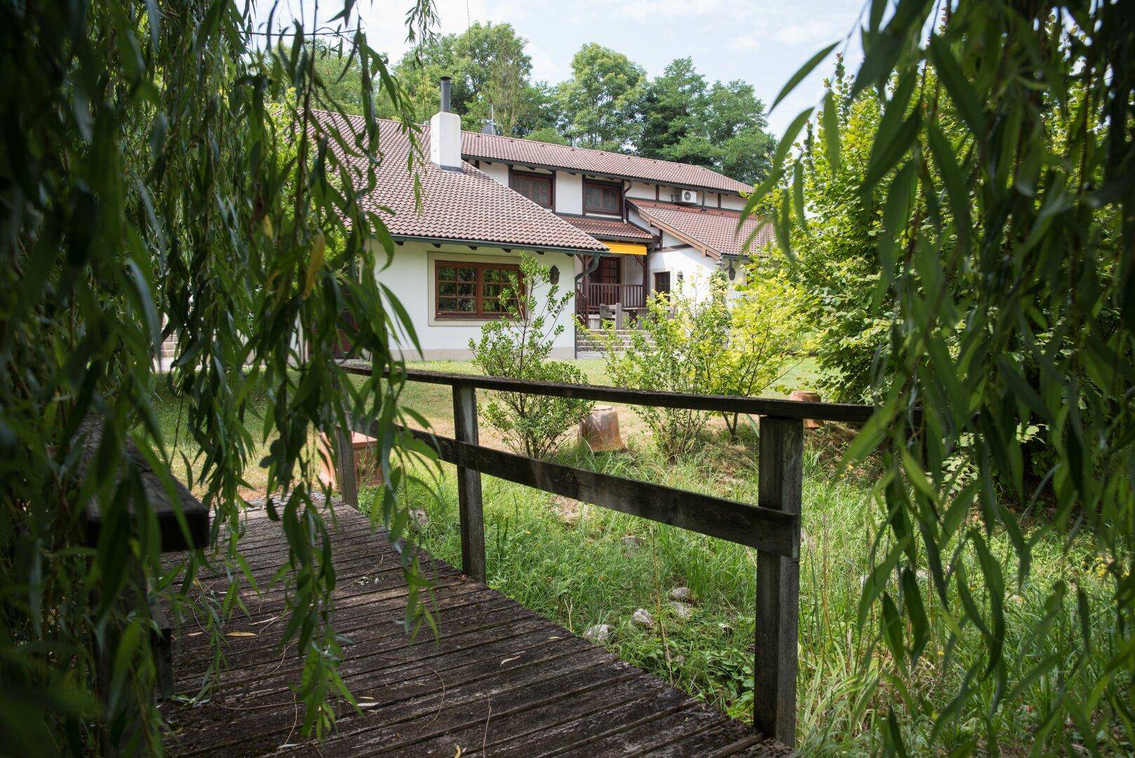 Ansicht des Hauses durch Weidenblätter, mit einem kleinen Holzsteg über einem Bach im Vordergrund.