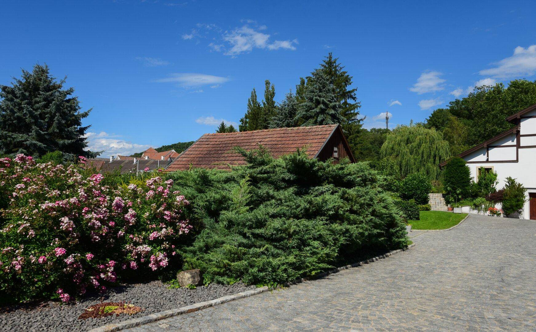 Gepflasterte Auffahrt, umgeben von blühenden Sträuchern und Bäumen unter blauem Himmel.