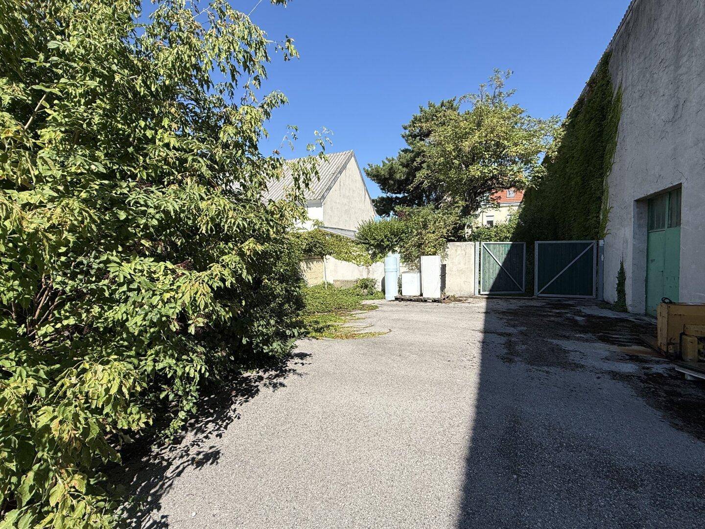 Außenbereich mit Bäumen, einem Zaun und einem weiteren Gebäude im Hintergrund unter blauem Himmel.