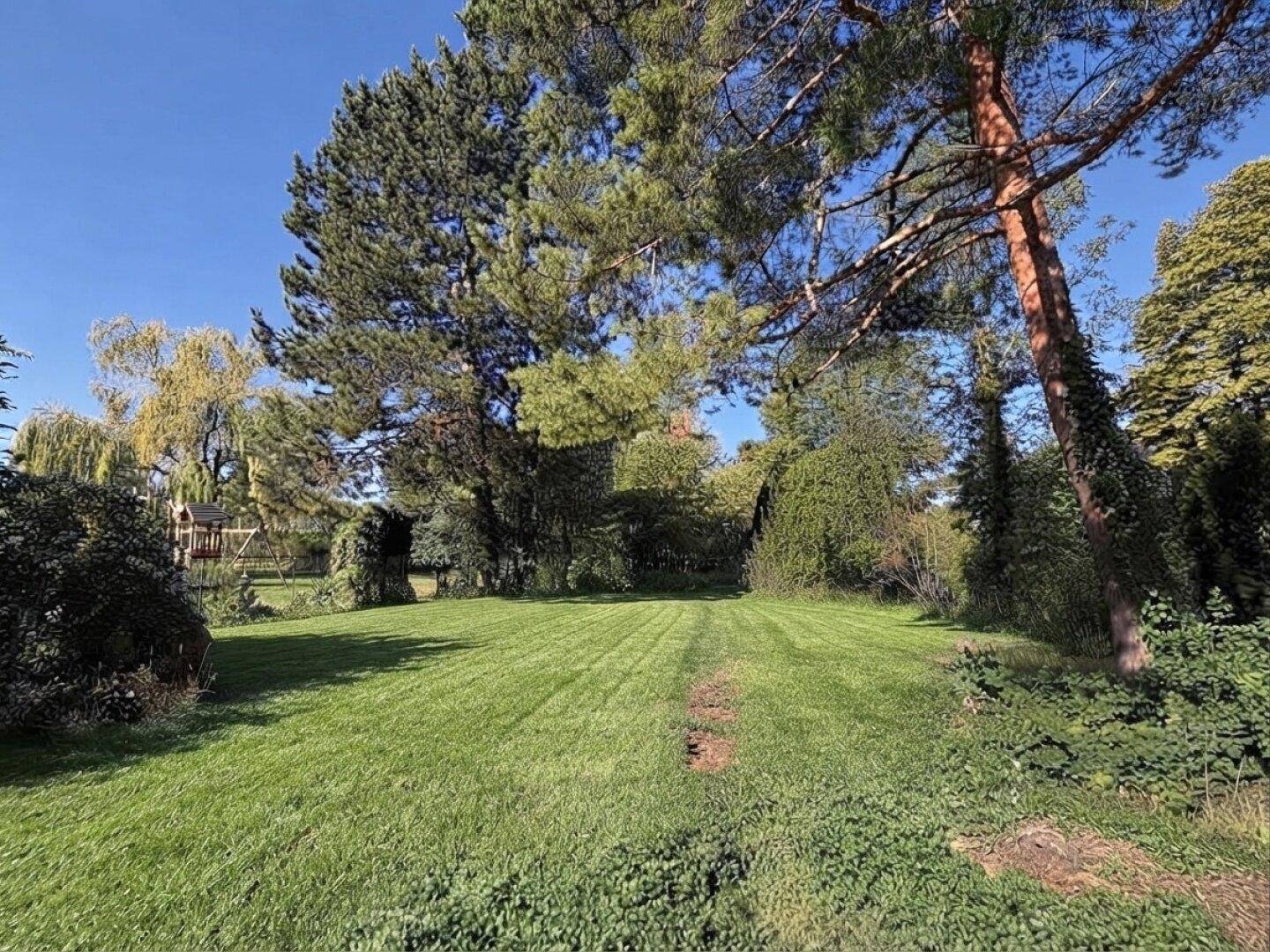Weitläufiger Garten mit gepflegtem Rasen und altem Baumbestand unter blauem Himmel.