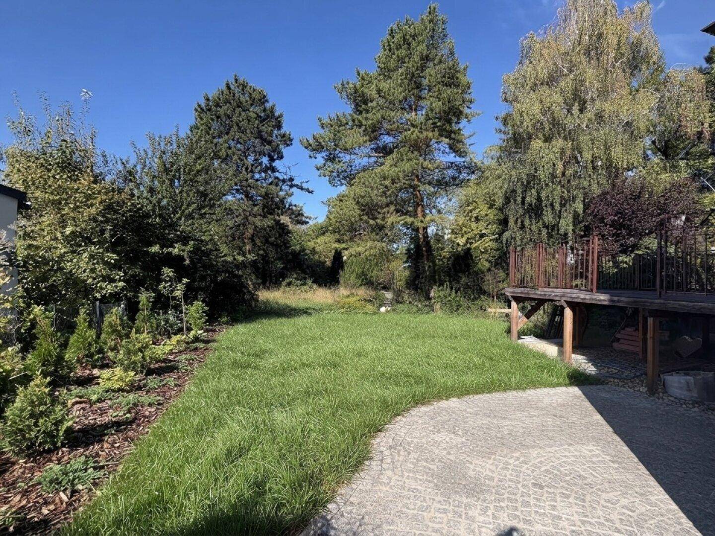 Gepflegter Gartenbereich mit Rasenfläche, hohen Bäumen und einer kleinen gepflasterten Terrasse.