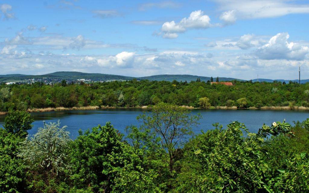 Wienerbergerteich