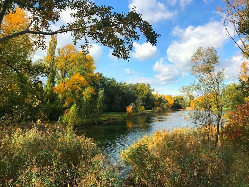 Malerische Herbstlandschaft mit einem ruhigen Fluss und bunten Bäumen unter blauem Himmel.