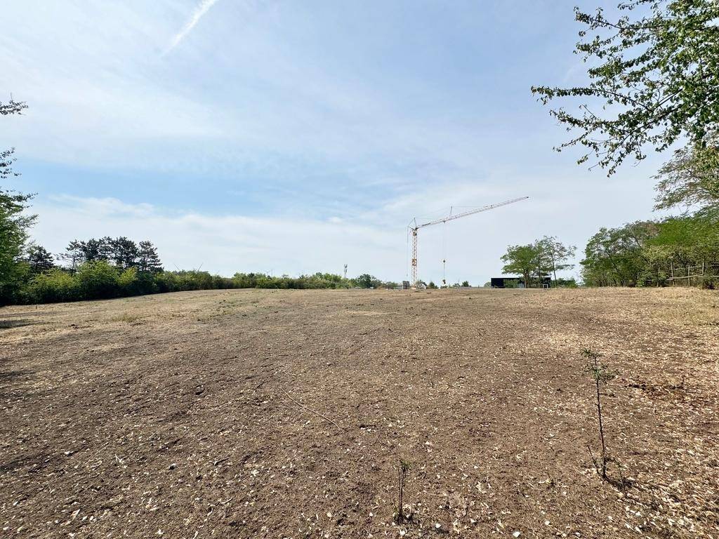 Großes, offenes Feld mit trockener Erde und einem Baukran in der Ferne unter weitem Himmel.