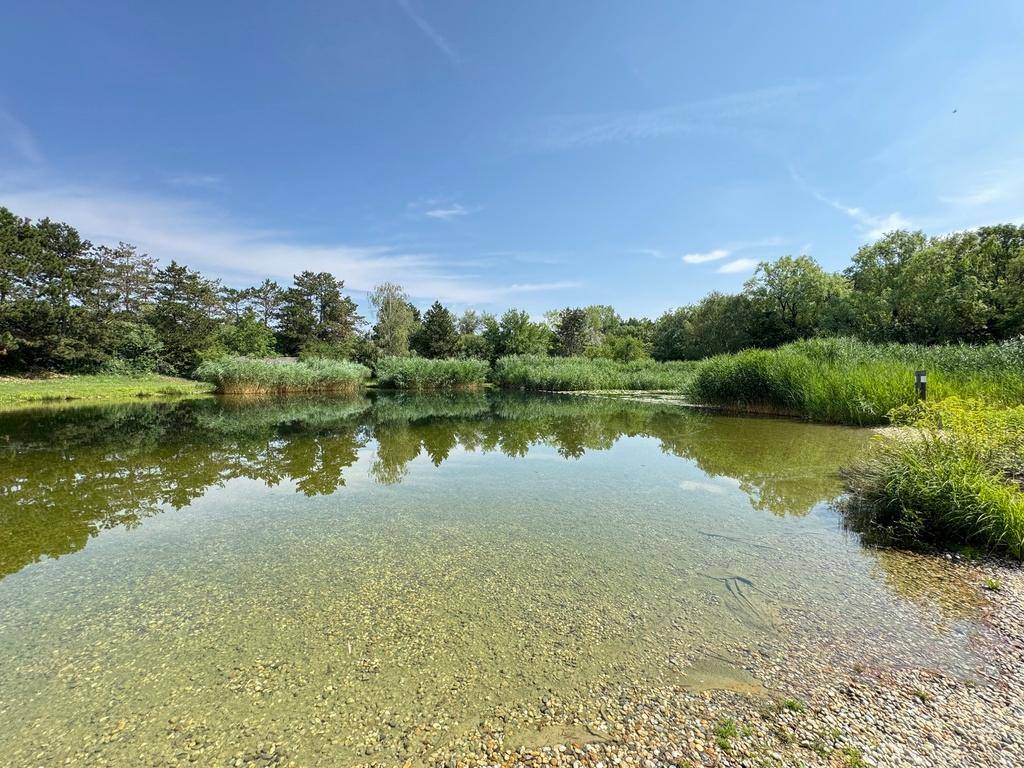 Natürlicher Teich mit klarem Wasser und kiesigem Ufer, umgeben von dichter Vegetation und Bäumen.