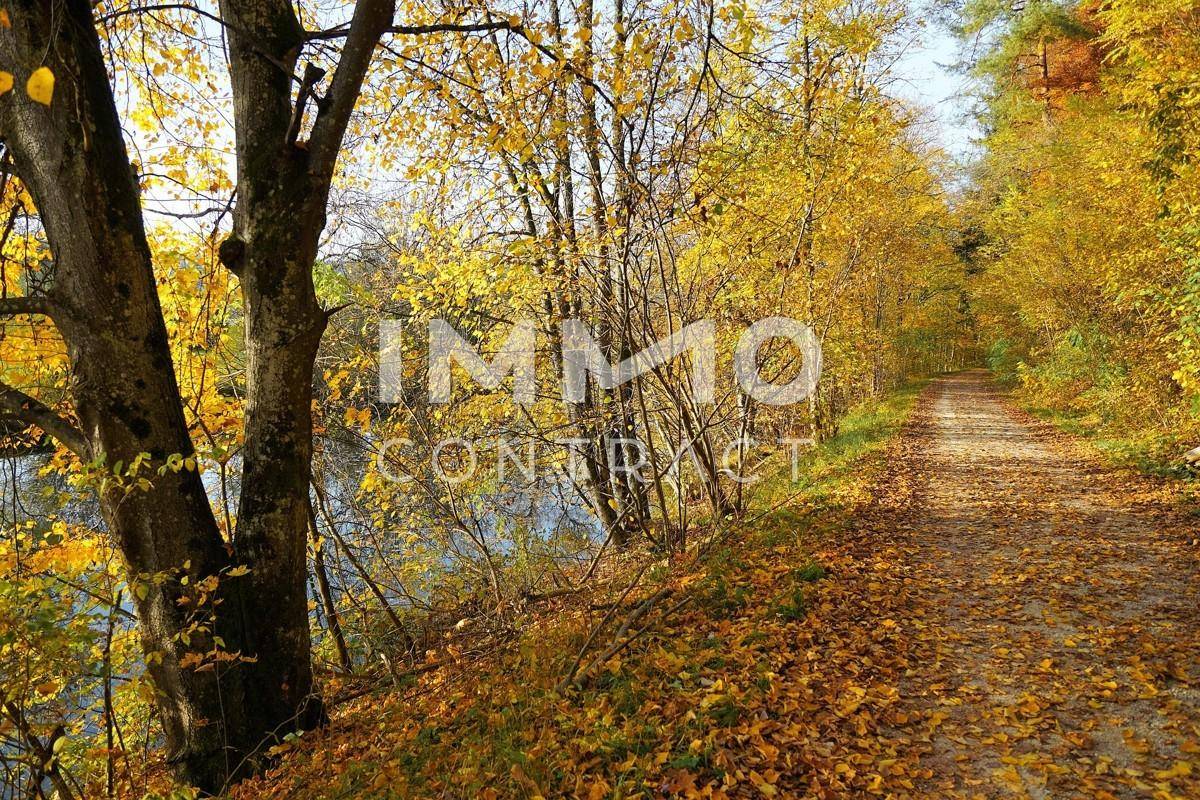 Donau Herbst