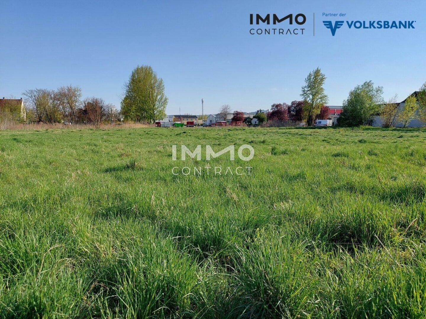 Große grüne Wiese mit hohem Gras und Bäumen im Hintergrund unter einem klaren blauen Himmel.