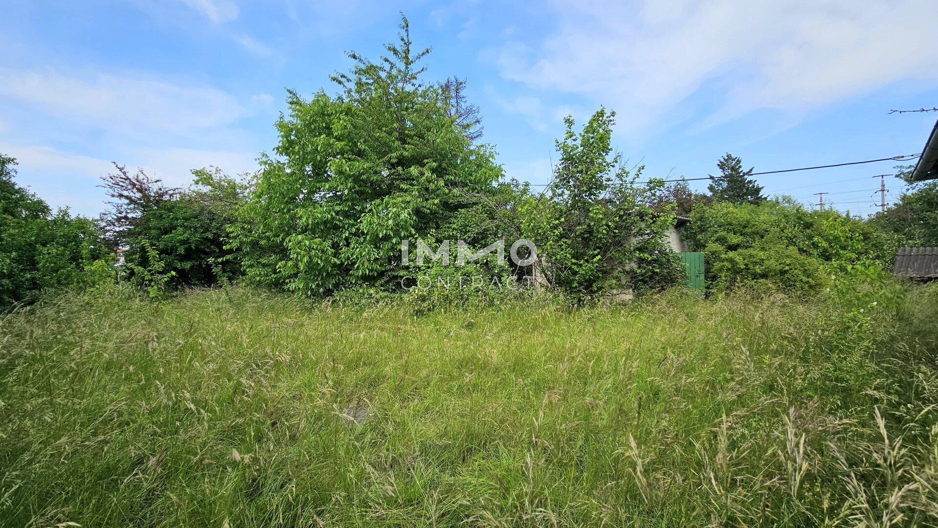 Weitläufiger, ungemähter Gartenbereich mit hohen Gräsern und Bäumen unter blauem Himmel.