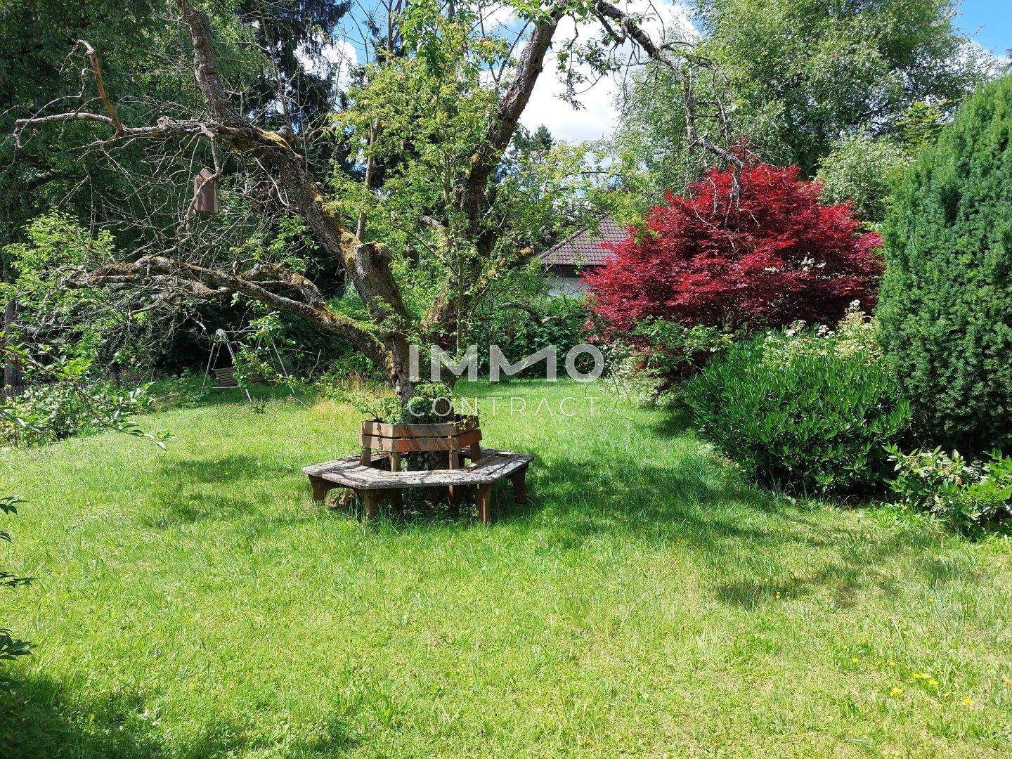 Gepflegter Garten mit altem Baum, runder Sitzbank und üppigem Grün.