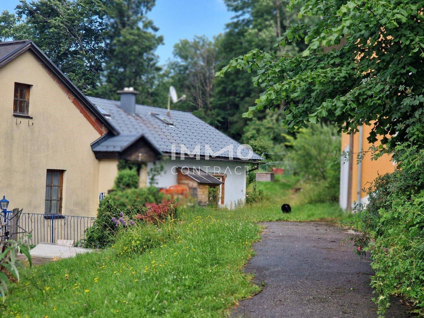 Zufahrt zum Anwesen, umgeben von Bäumen und Wiesen, mit Blick auf weitere Gebäude.