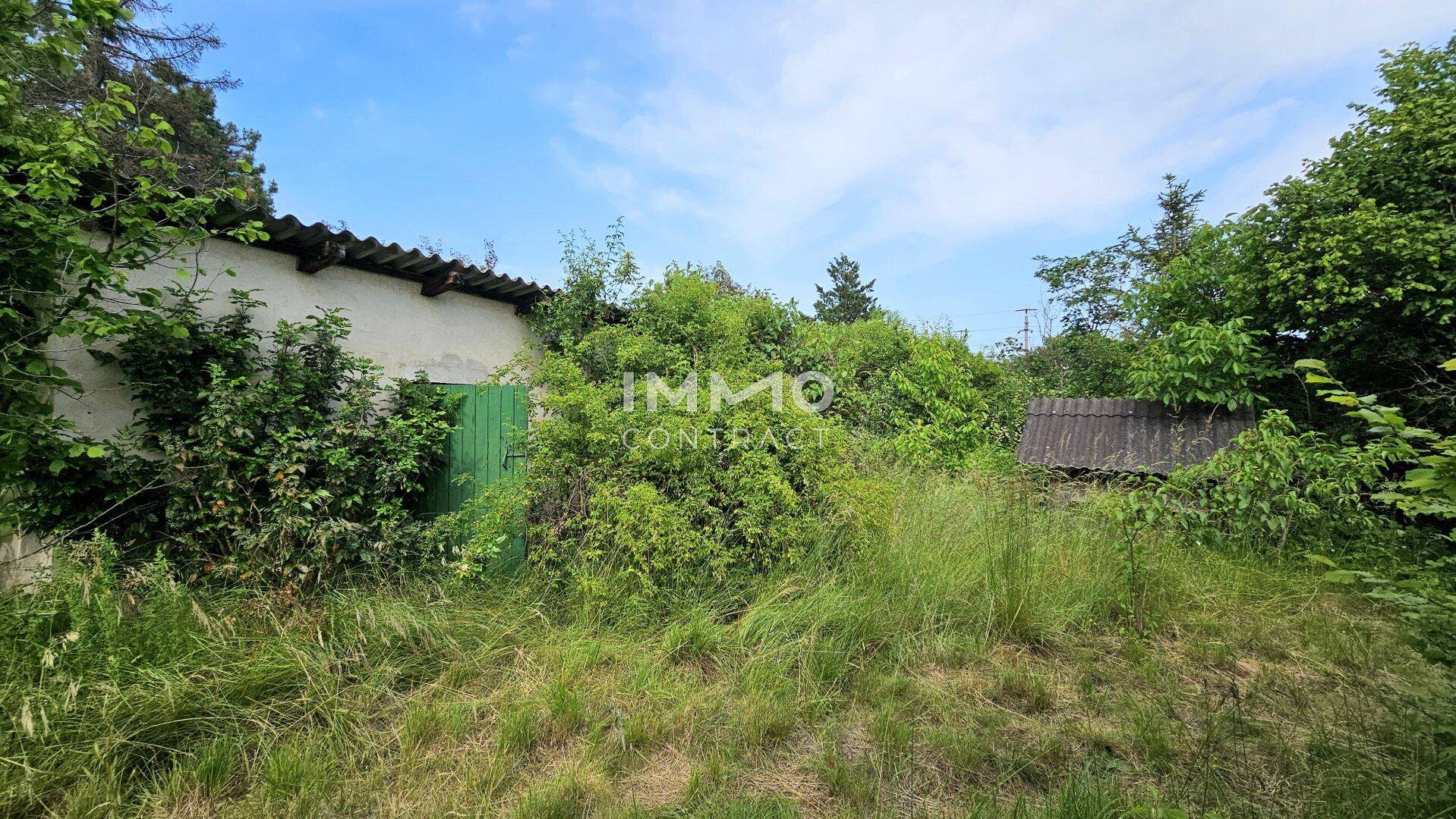 Die Rückseite des Hauses mit einer grünen Tür und umgebendem, dichtem Bewuchs im Garten.