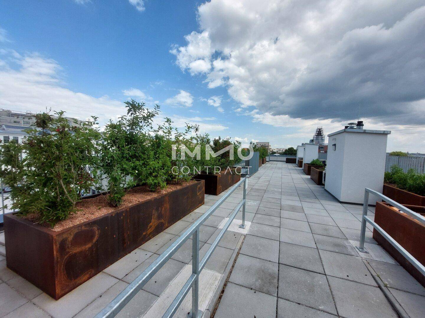 Weitläufige Dachterrasse mit großen Pflanzkübeln und Blick auf die städtische Umgebung.