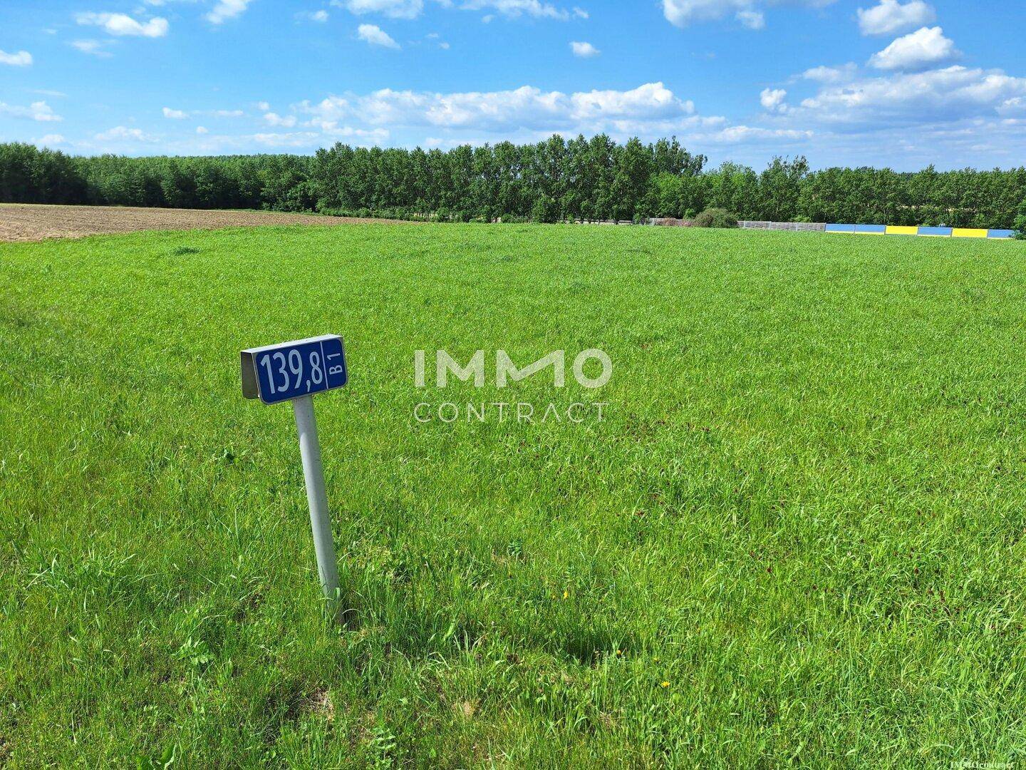 Weitläufiges grünes Feld mit einem blauen Schild, das eine Nummer anzeigt, umgeben von Bäumen unter blauem Himmel.