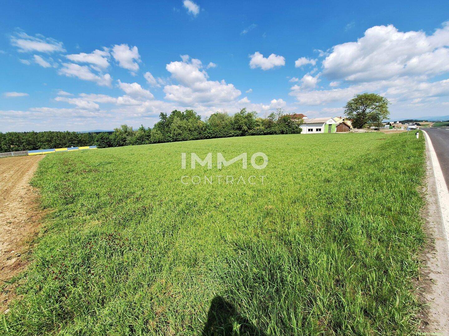 Panoramablick über ein weites grünes Feld neben einer Straße mit Häusern und Bäumen in der Ferne unter blauem Himmel.
