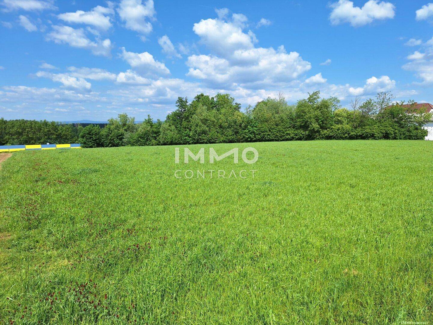 Ausgedehntes grünes Feld unter einem strahlend blauen Himmel mit Wolken, umgeben von Bäumen und einem Haus in der Ferne.