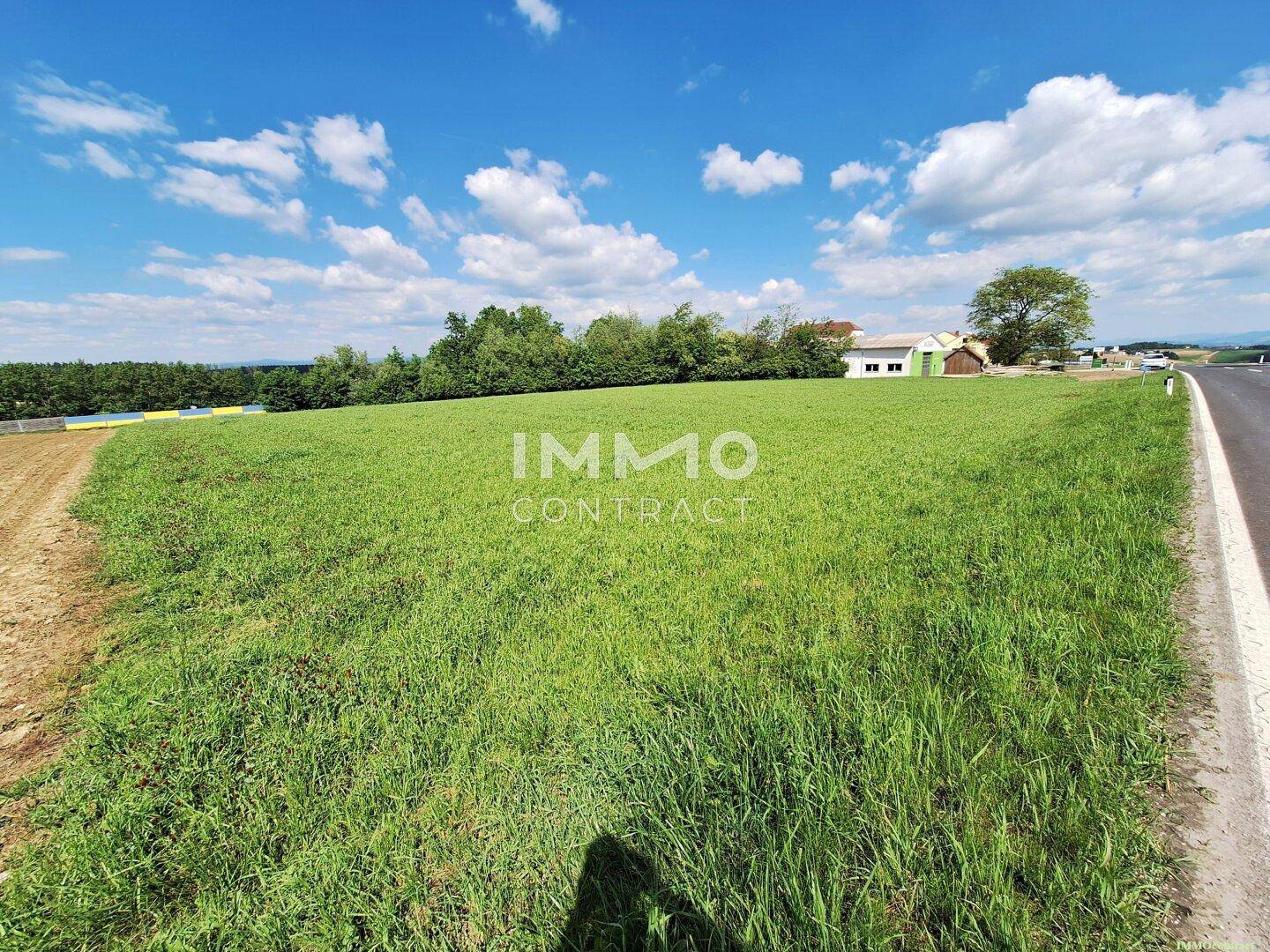 Blick über ein weites grünes Feld neben einer Straße, mit Häusern und Bäumen am Horizont unter einem bewölkten Himmel.