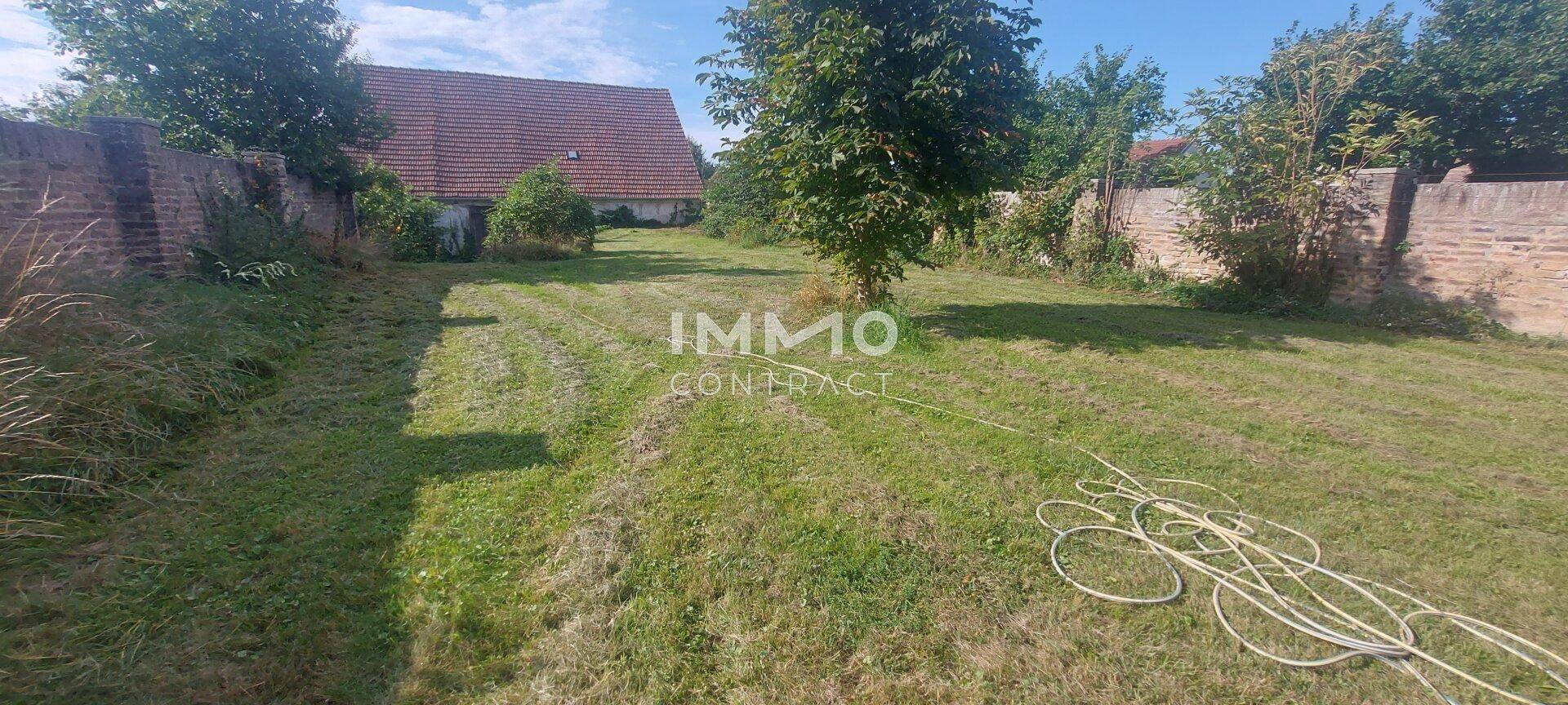 Gepflegte Rasenfläche mit einem Baum und einer alten Steinmauer, bereit zur Nutzung.
