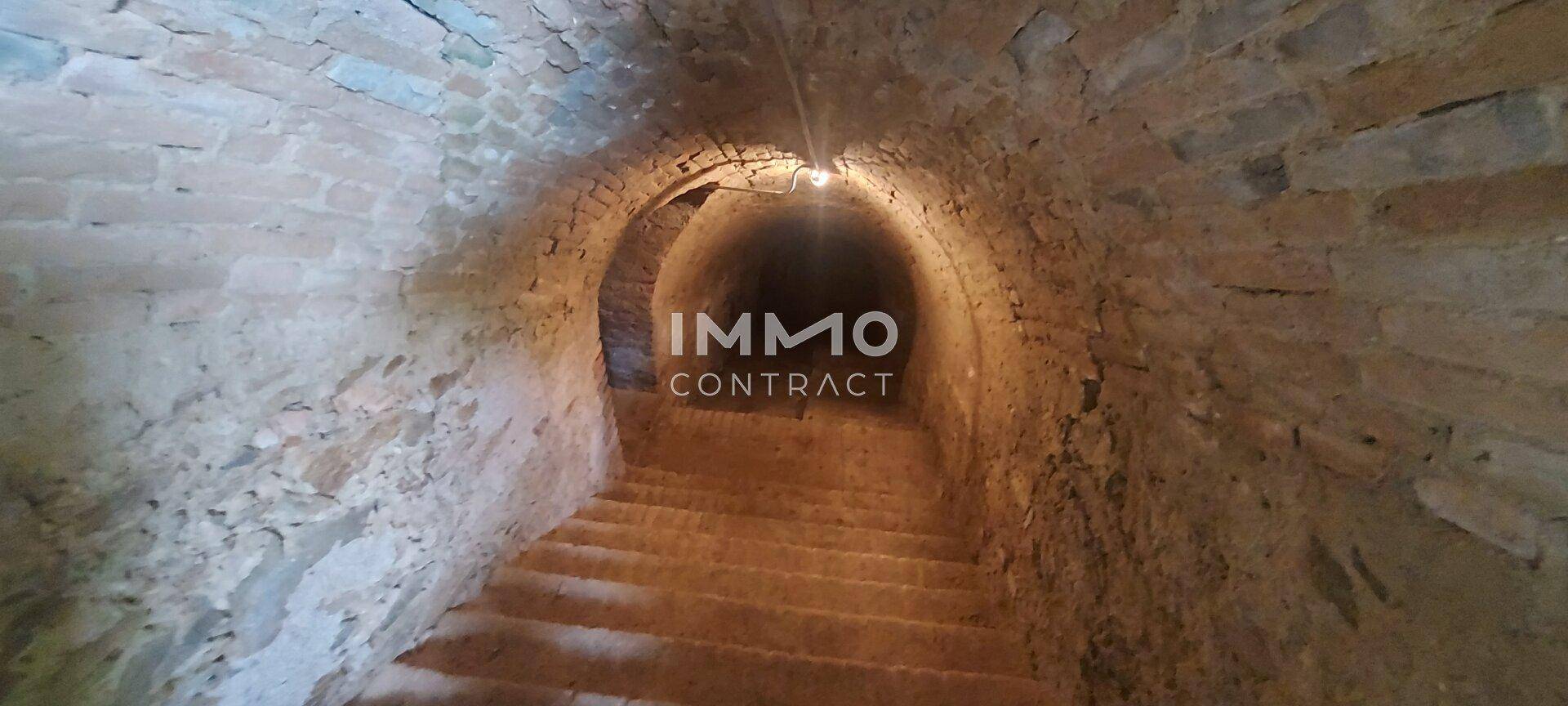 Historischer Steinkeller mit gewölbter Decke und gemauerten Stufen, beleuchtet von einer Lampe.