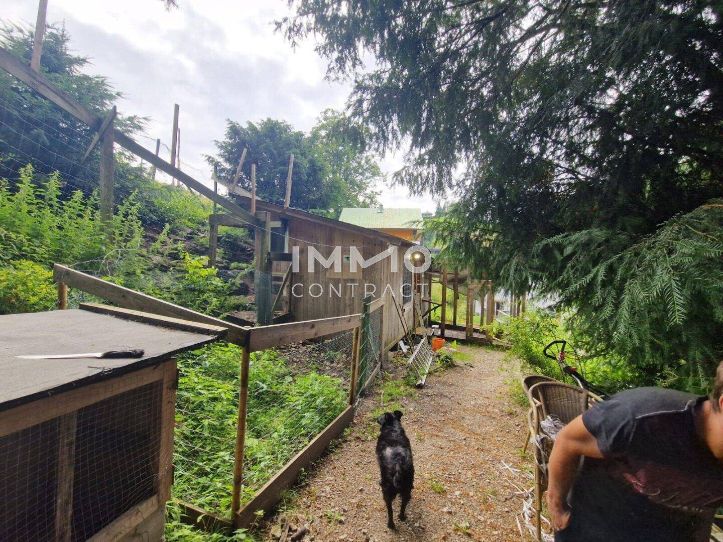 Gartenweg mit Holzzaun, üppiger Vegetation und einem Hund.