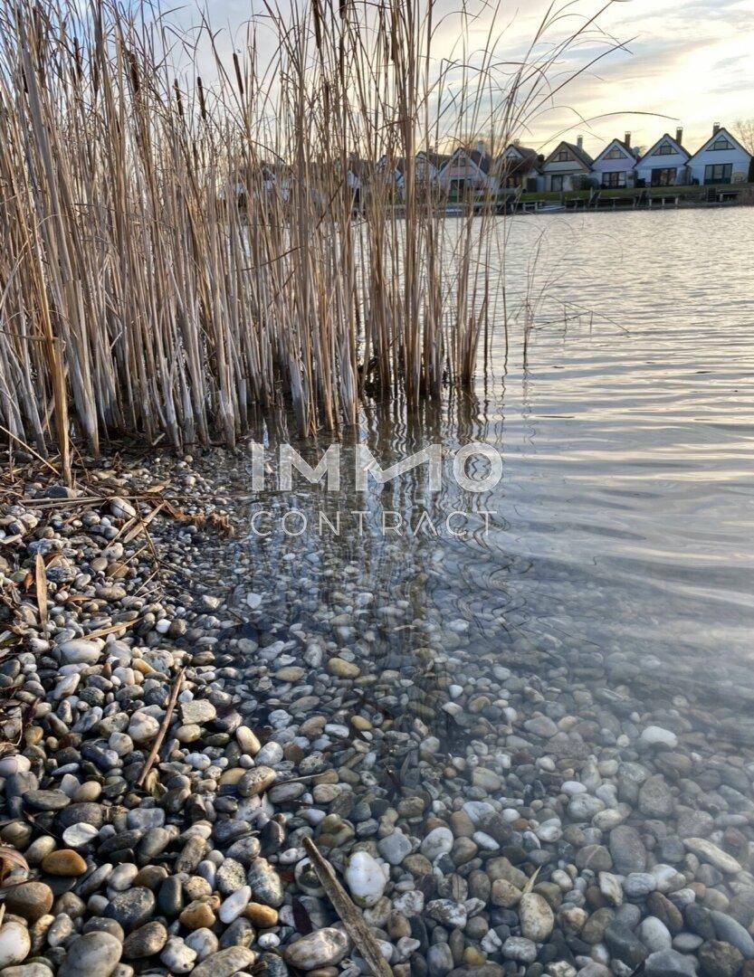 Kiesstrand am Seeufer mit Schilf und klarem Wasser, das die Steine umspült.