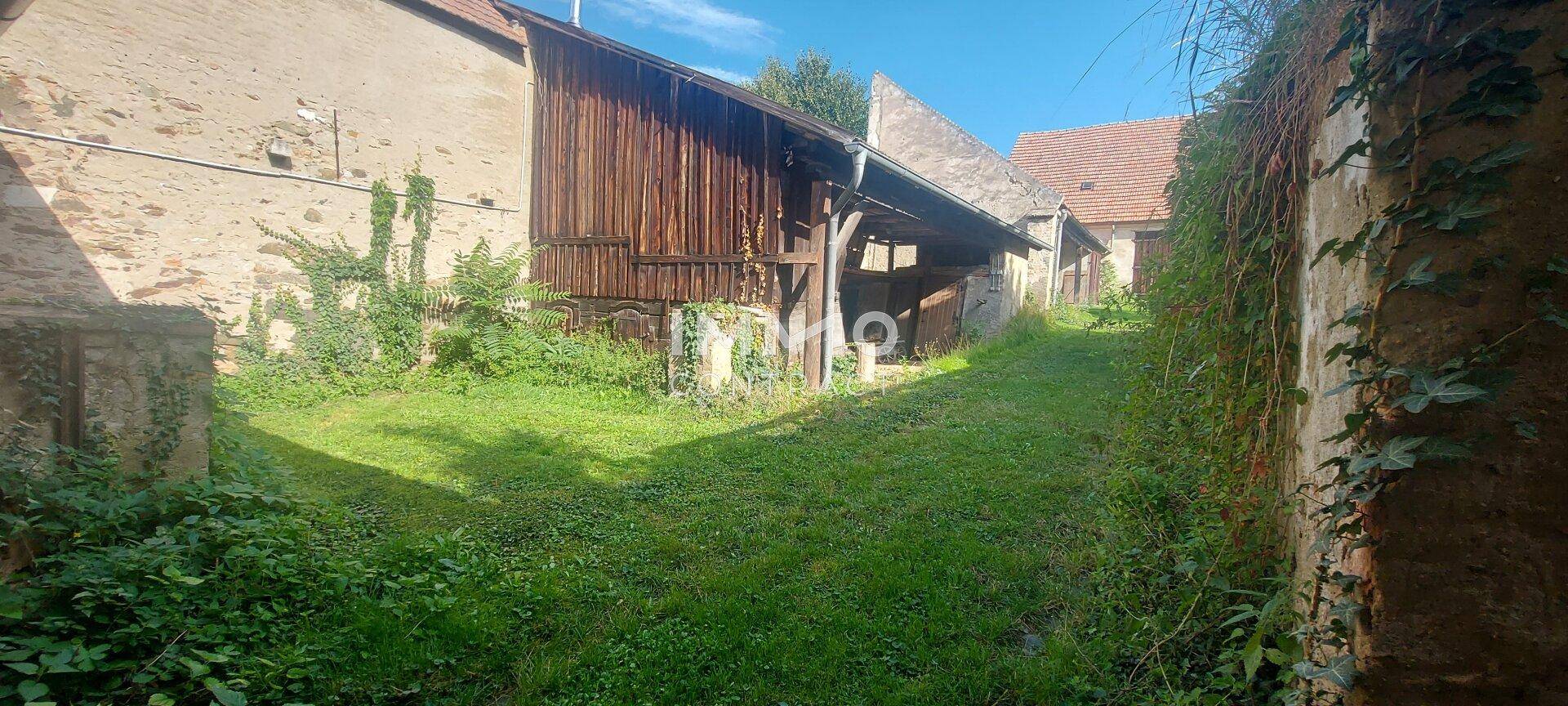 Verwilderter Gartenbereich mit alten Holzschuppen und viel Grün, umgeben von Mauern.