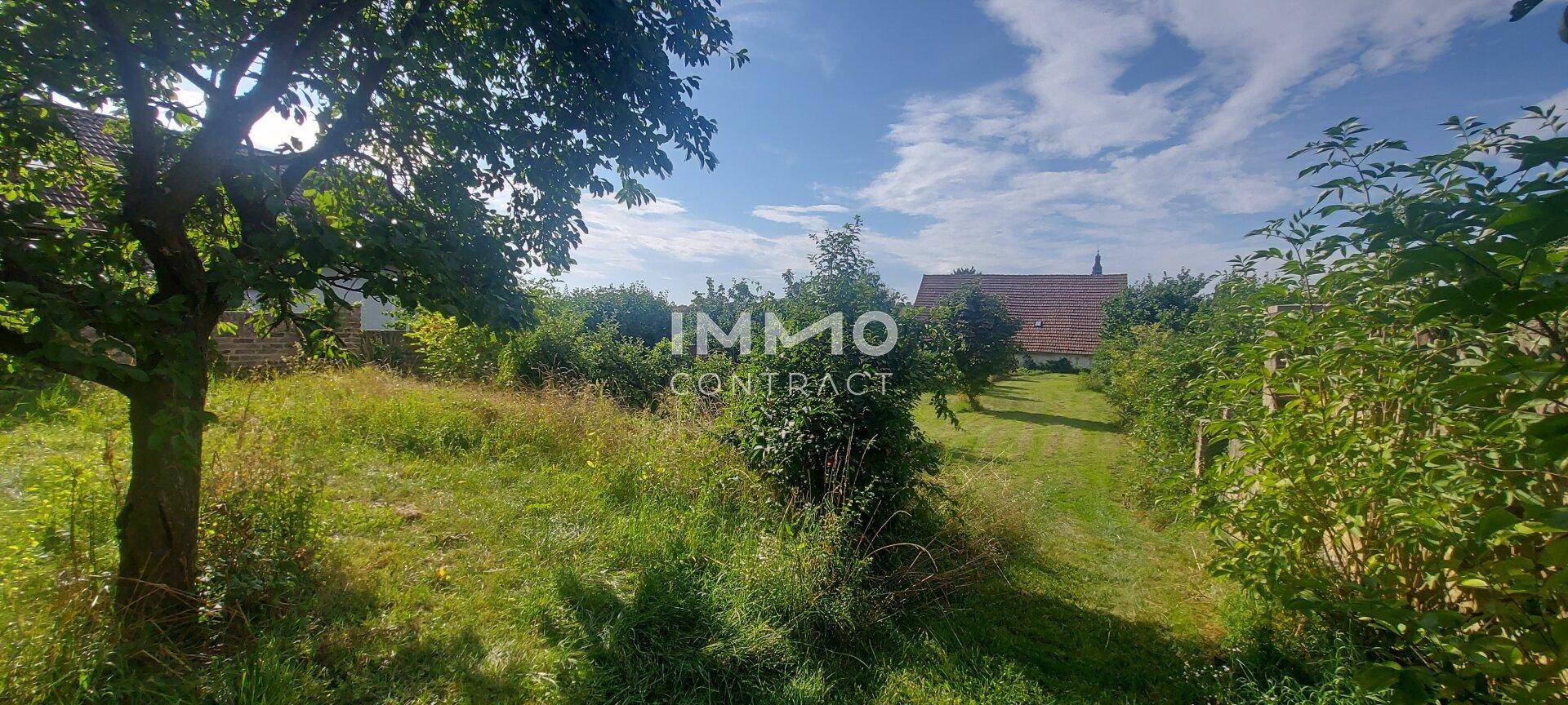 Sonniger Gartenbereich mit alten Bäumen und Blick auf die ländliche Umgebung.