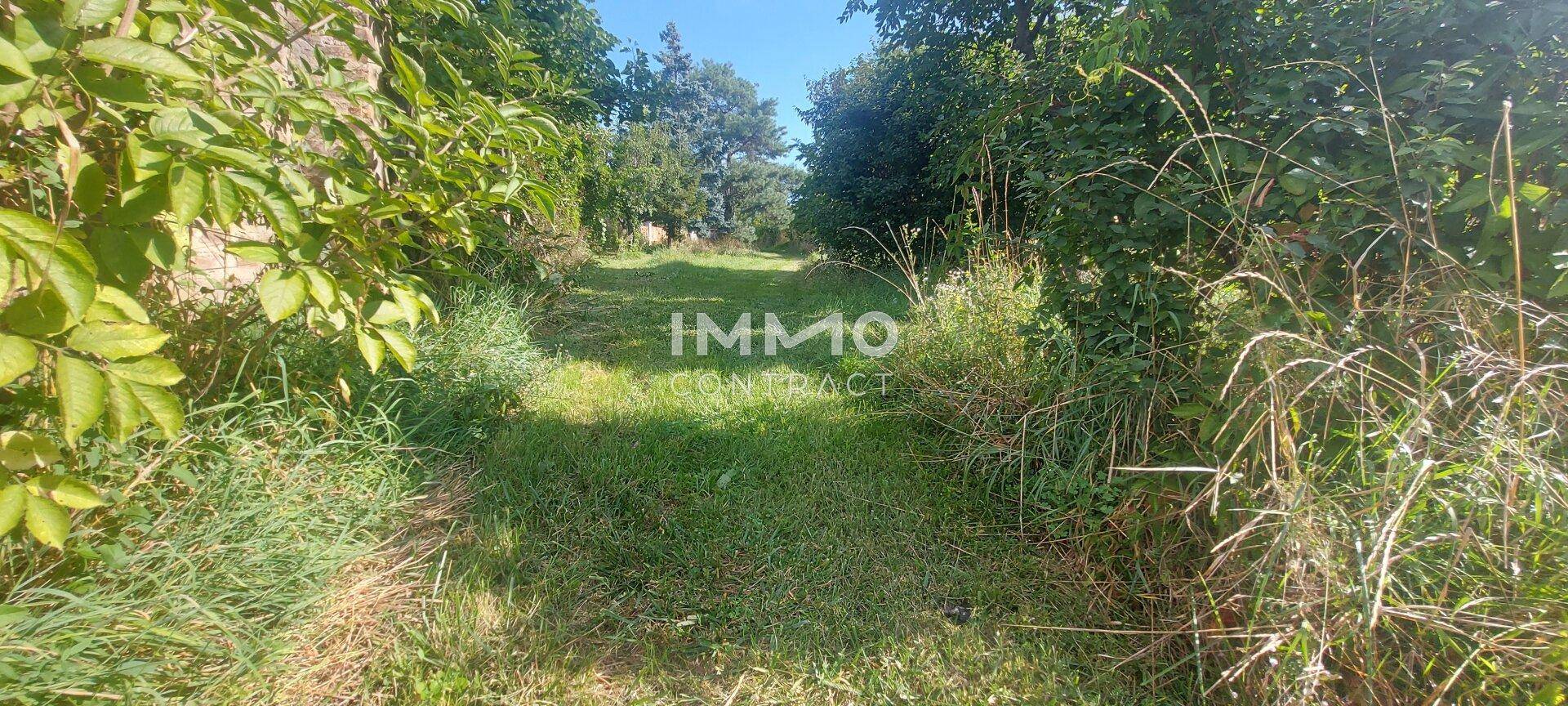 Naturbelassener Gartenweg umgeben von hohem Gras und Sträuchern, ideal für Spaziergänge.