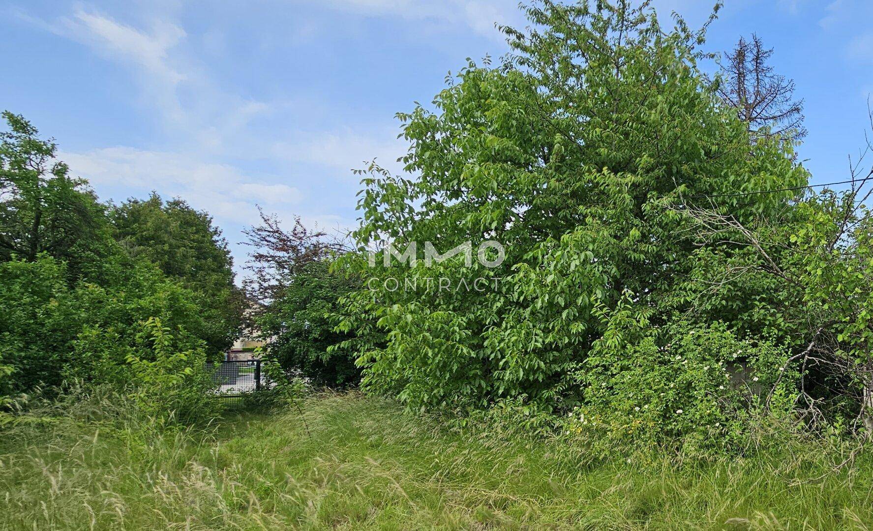 Üppige Vegetation und hohe Bäume prägen das Grundstück, das viel Privatsphäre bietet.