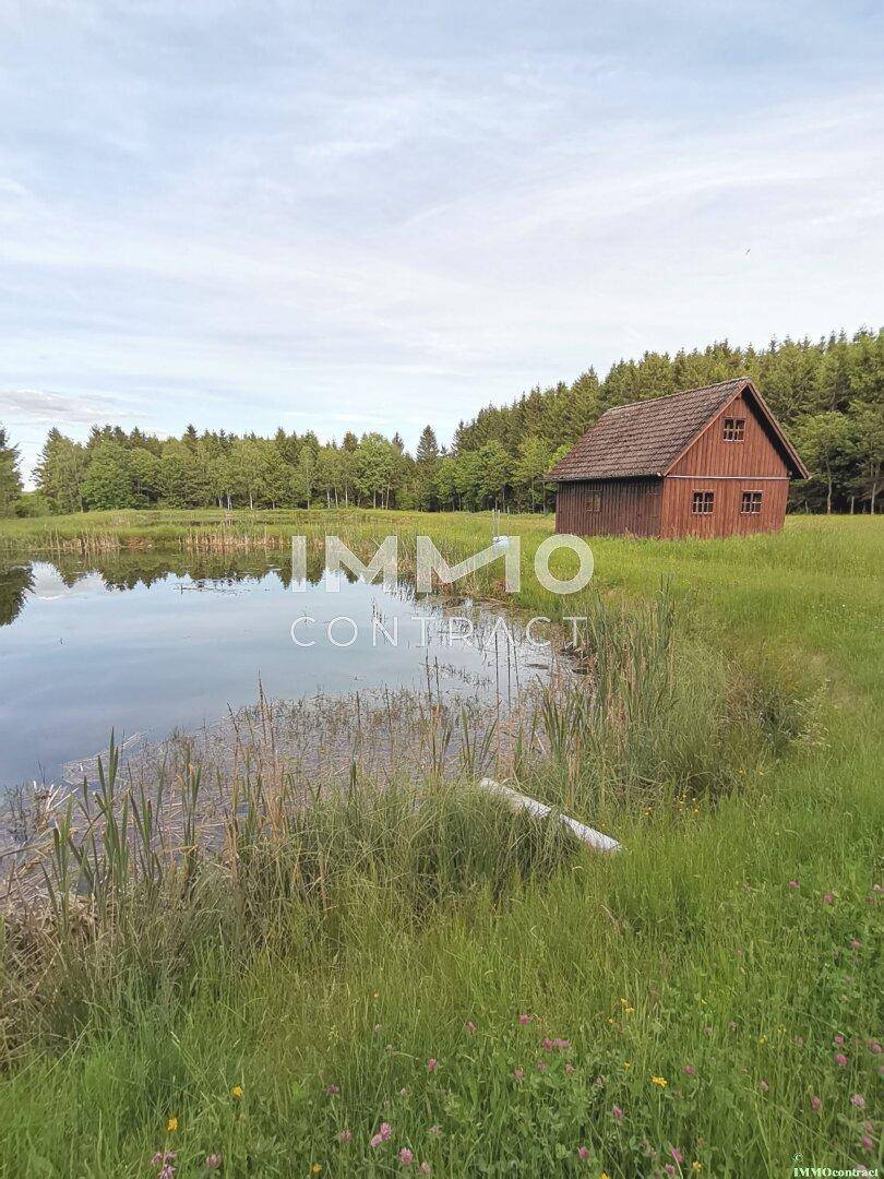 Rustikale Holzhütte am Rande eines Teiches, umgeben von hohem Gras und Bäumen.