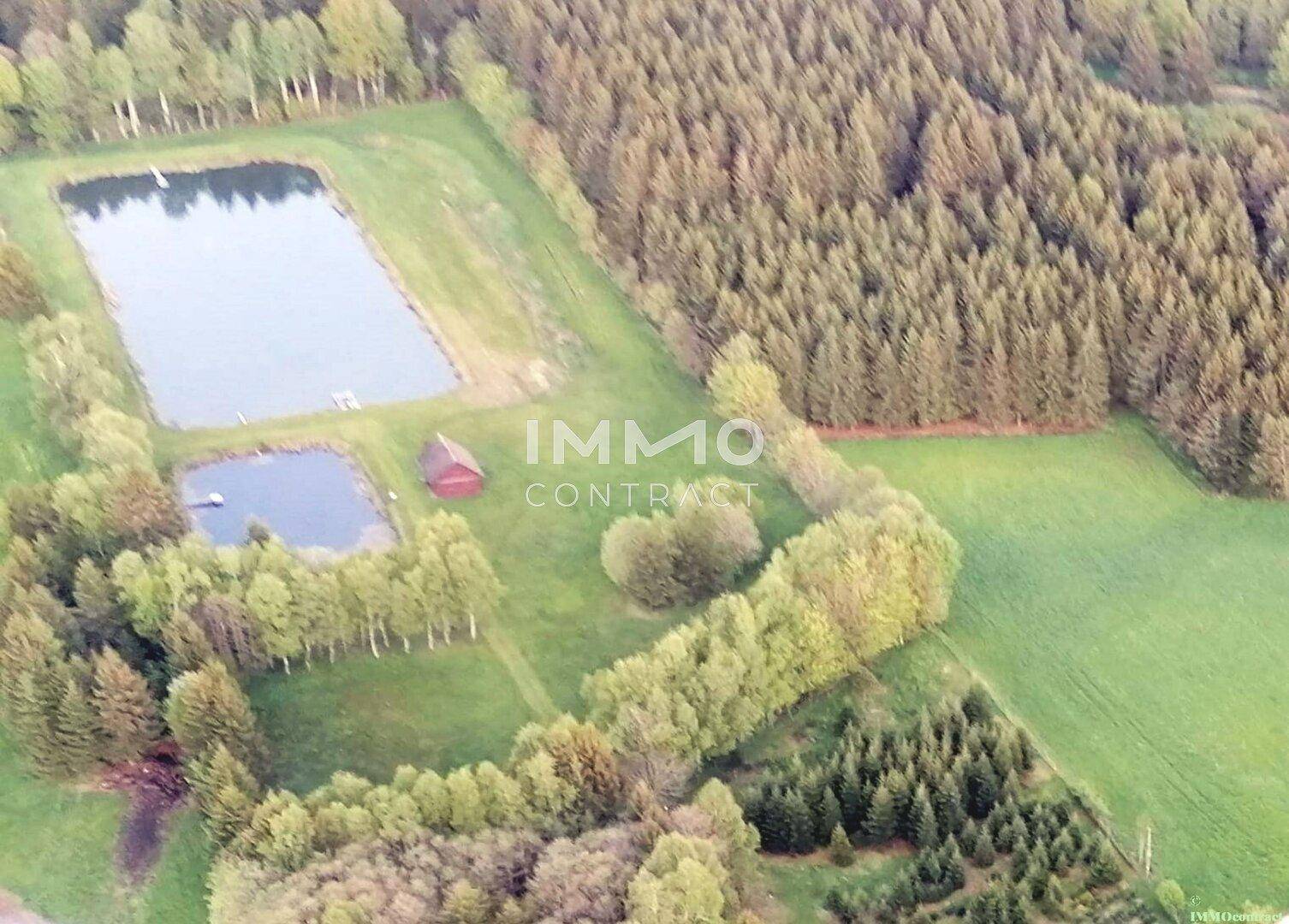 Luftaufnahme einer weitläufigen grünen Landschaft mit Wald, zwei Teichen und einem kleinen Gebäude.