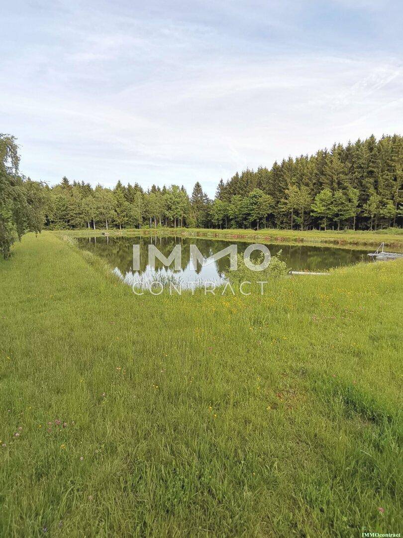 Großer Teich umgeben von einer grünen Wiese und einem dichten Wald im Hintergrund.
