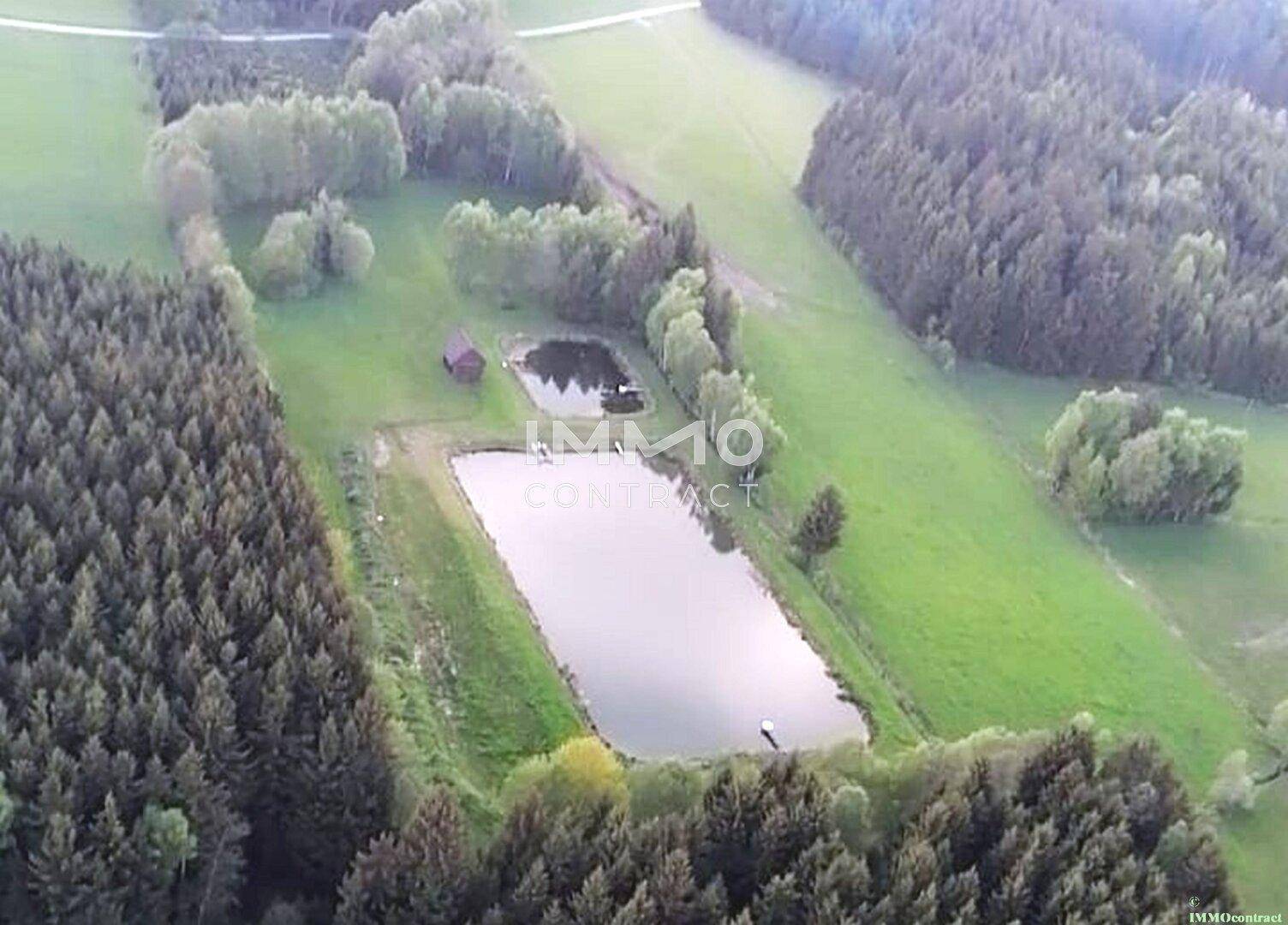 Luftaufnahme einer ländlichen Gegend mit Wald, Wiesen, zwei Teichen und einem kleinen Gebäude.