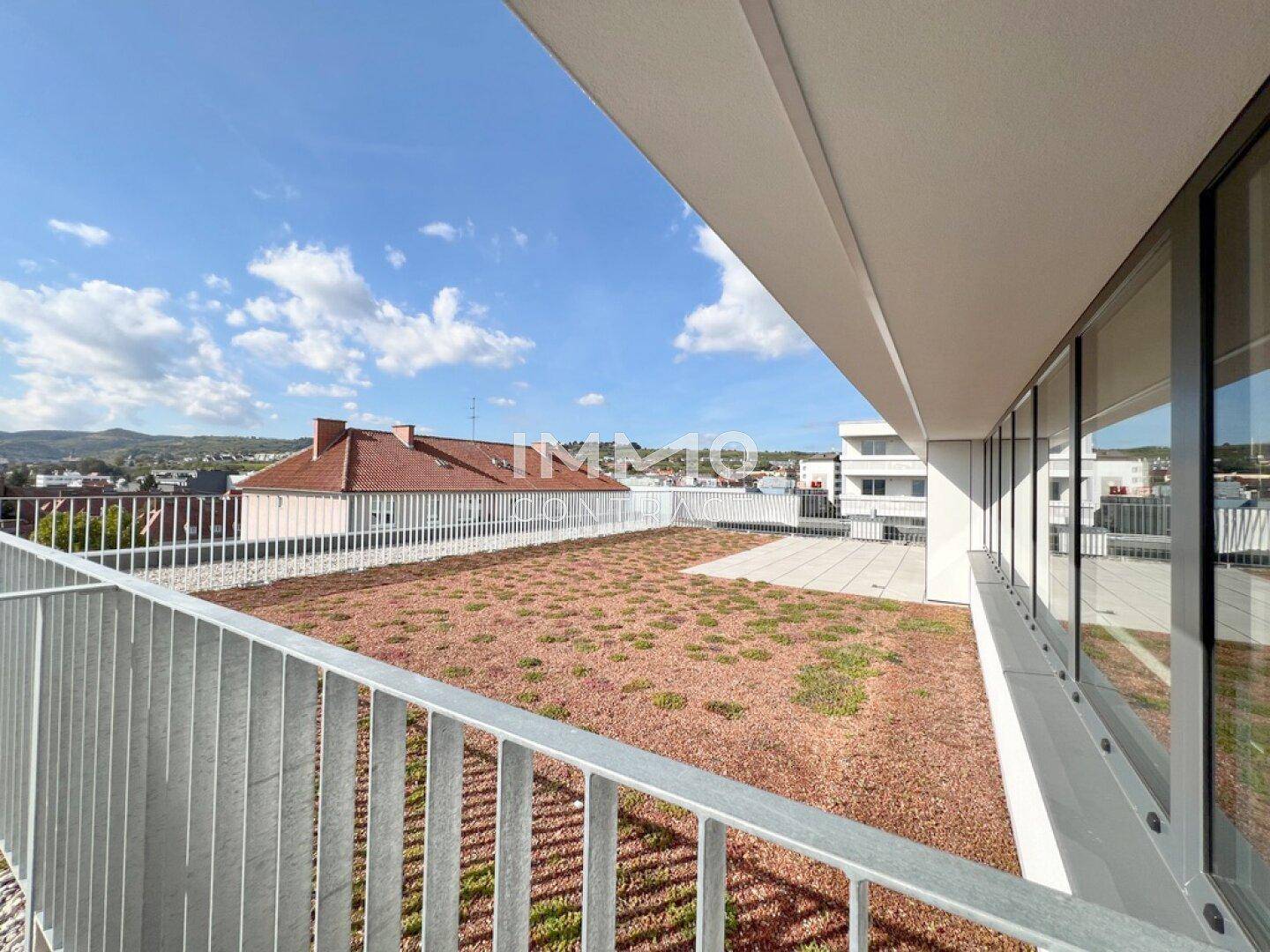 Extensive Dachbegrünung mit Blick auf die umliegende Landschaft und Gebäude.