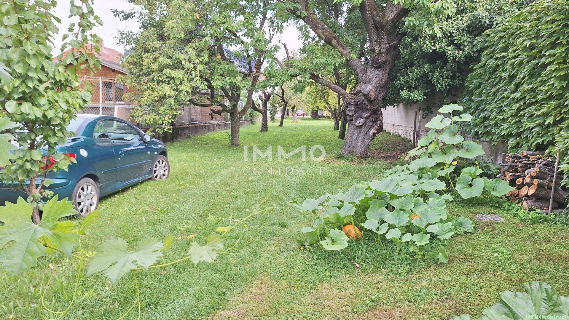 Großer, naturbelassener Garten mit Obstbäumen, Rasenfläche und einem geparkten Auto.