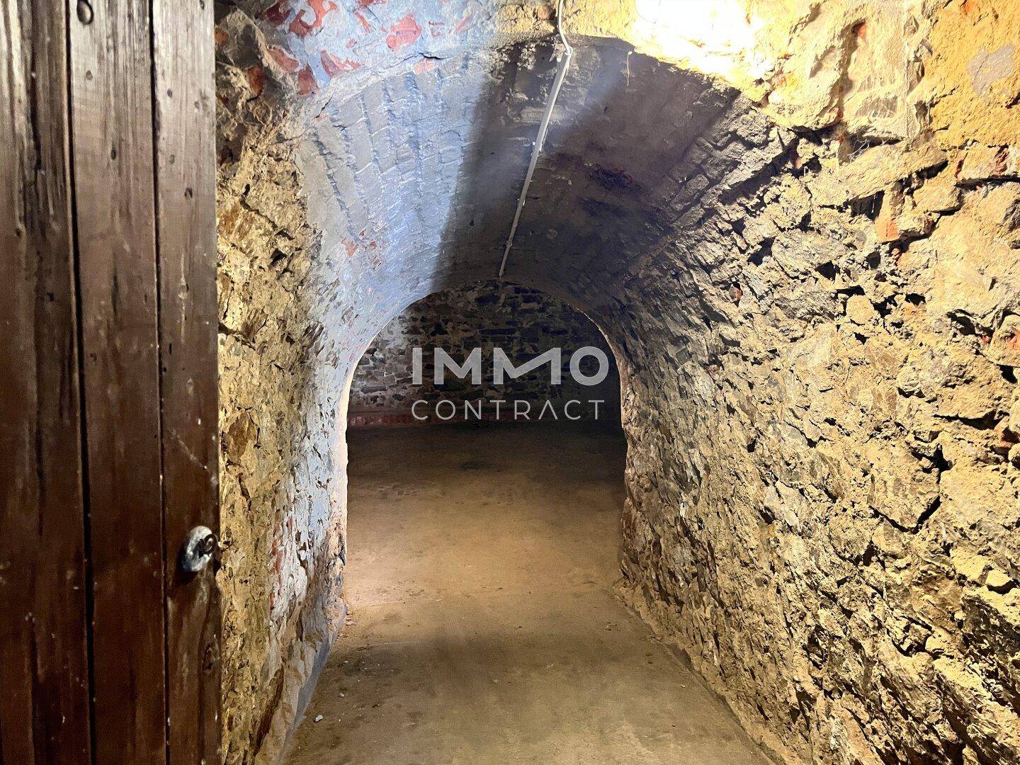 Historischer Gewölbekeller mit Ziegelwänden, ideal zur Lagerung von Wein oder als besonderer Raum.