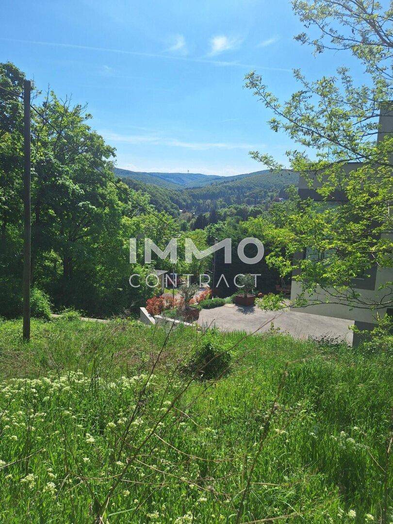 Panoramablick über eine grüne Hügellandschaft mit Bäumen und einem sonnigen Himmel.