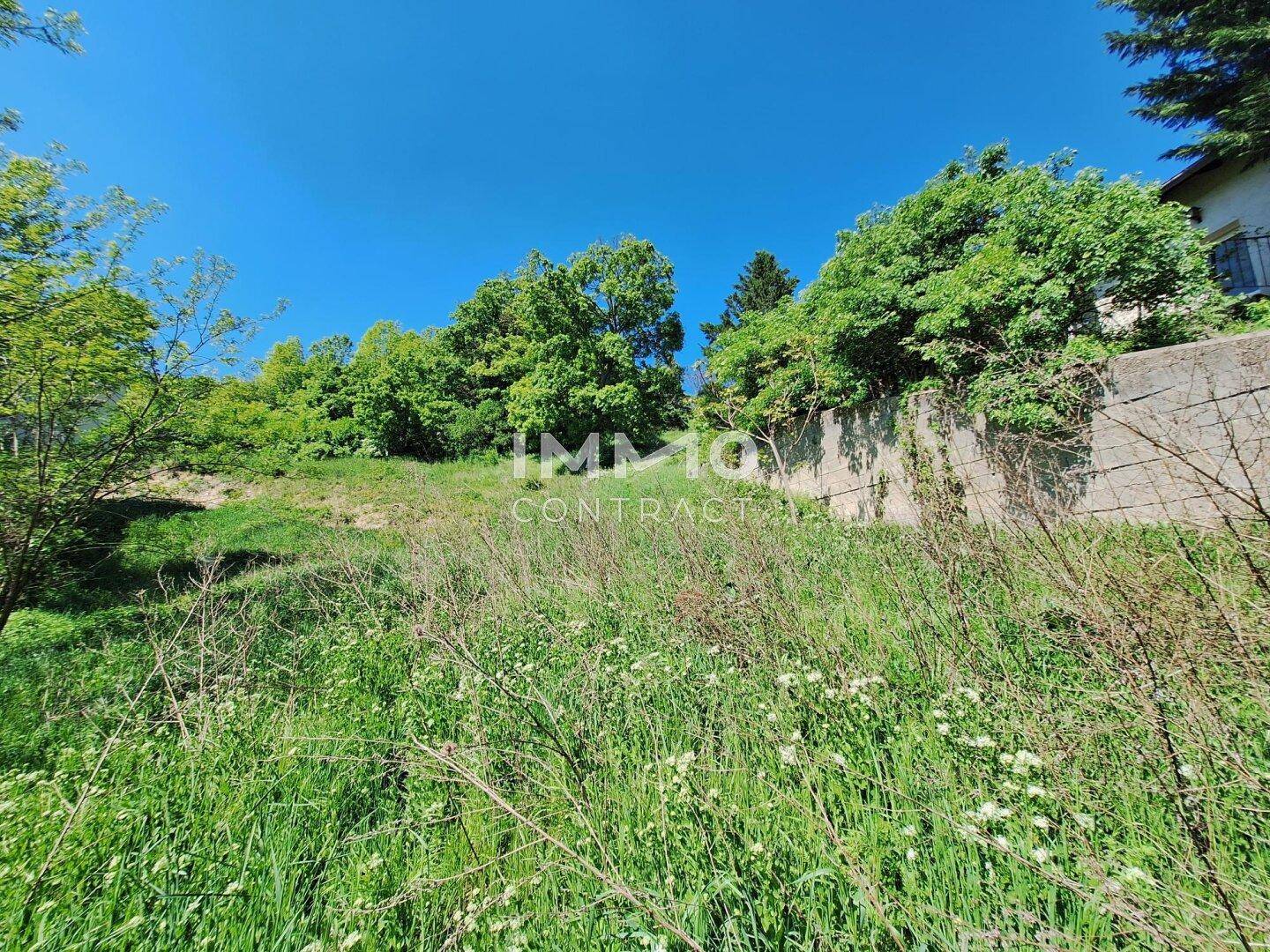 Ein sonniger Hang mit üppigem Grün, Bäumen und einer Betonmauer im Hintergrund.