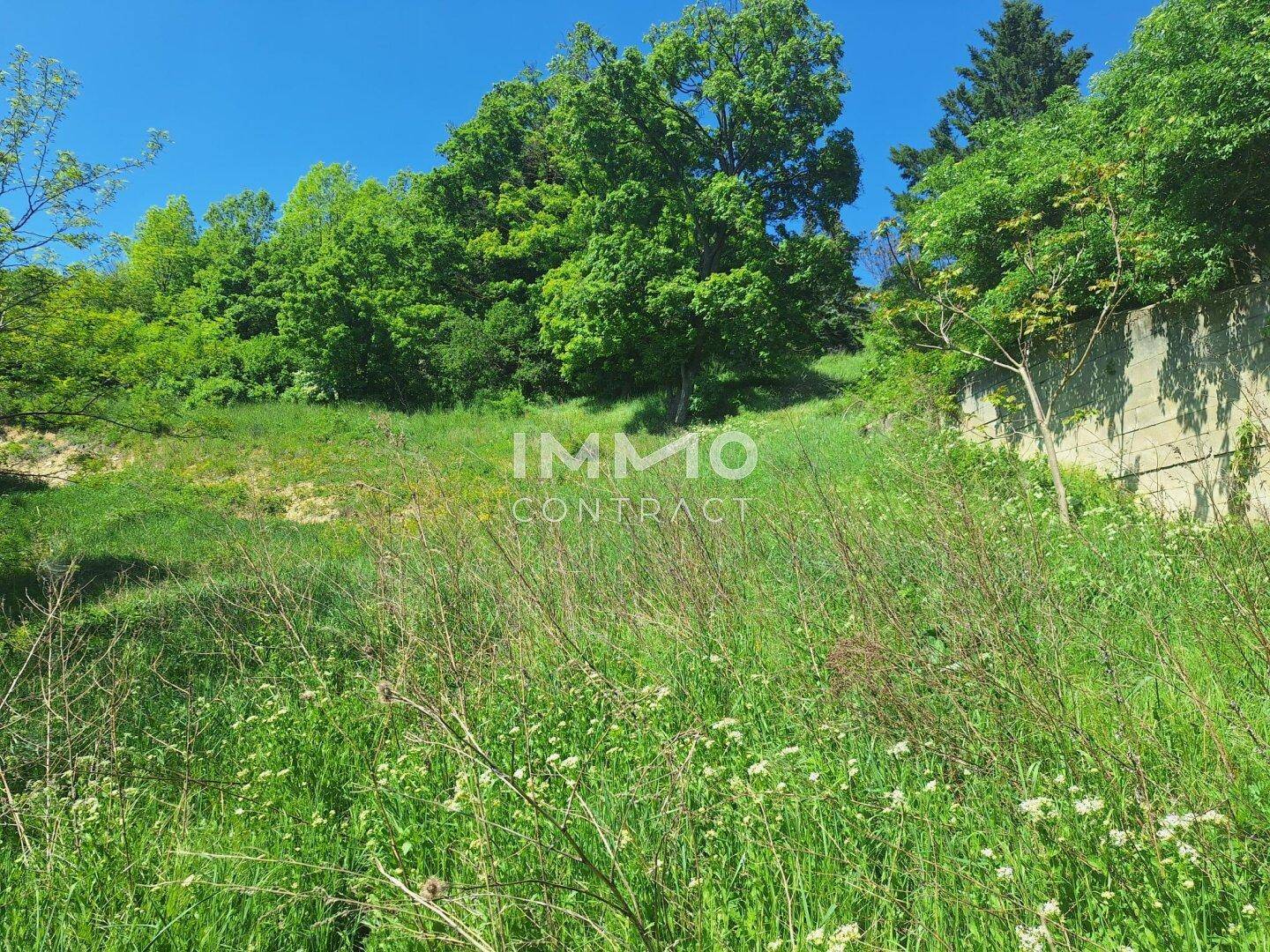 Eine weitläufige grüne Wiese mit hohem Gras und Bäumen unter einem klaren blauen Himmel.
