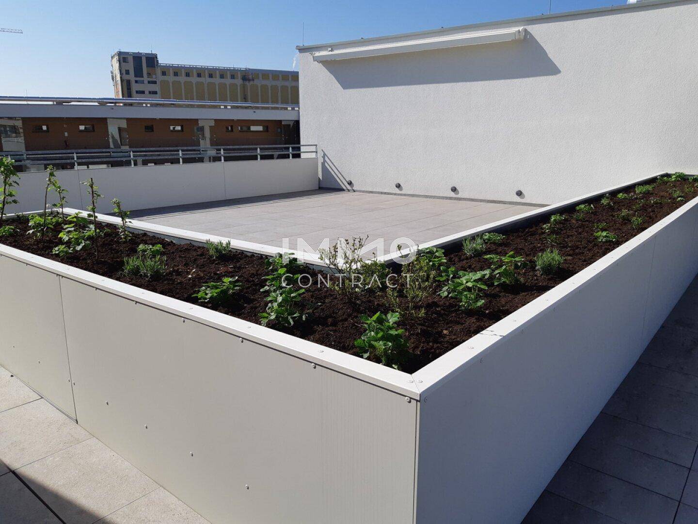 Großzügige Dachterrasse mit bepflanzten Hochbeeten und Fliesenboden unter blauem Himmel.