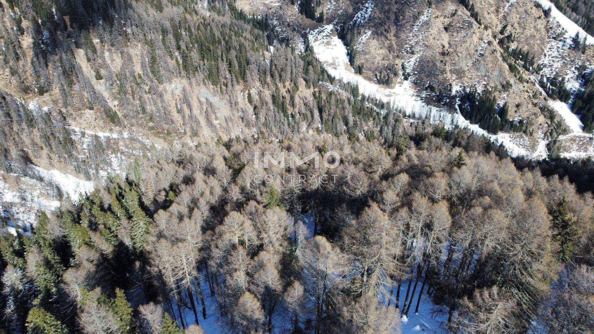 Panoramische Luftaufnahme einer verschneiten Berglandschaft mit dichten Wäldern im Winter.