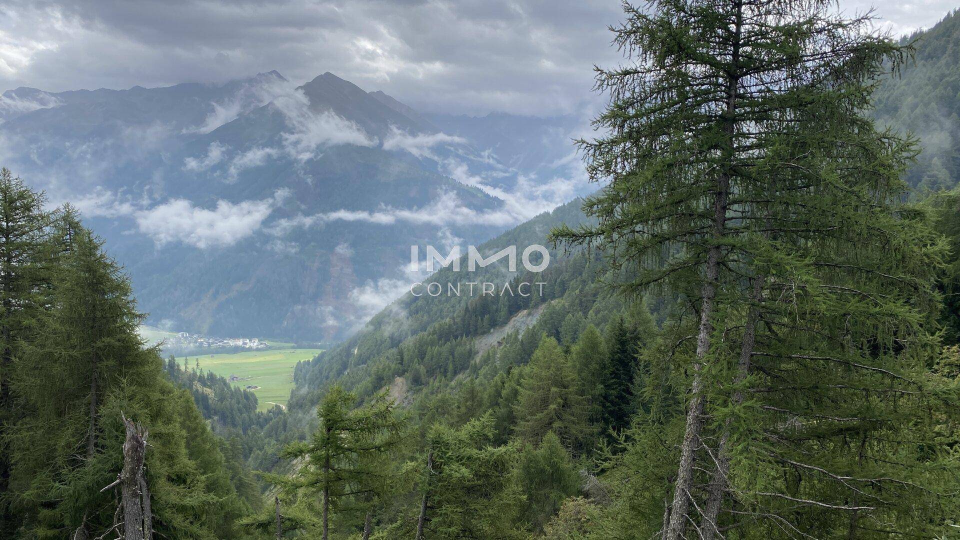 Weitläufiger Blick über ein bewaldetes Bergtal mit einem Dorf in der Ferne und nebligen Gipfeln.
