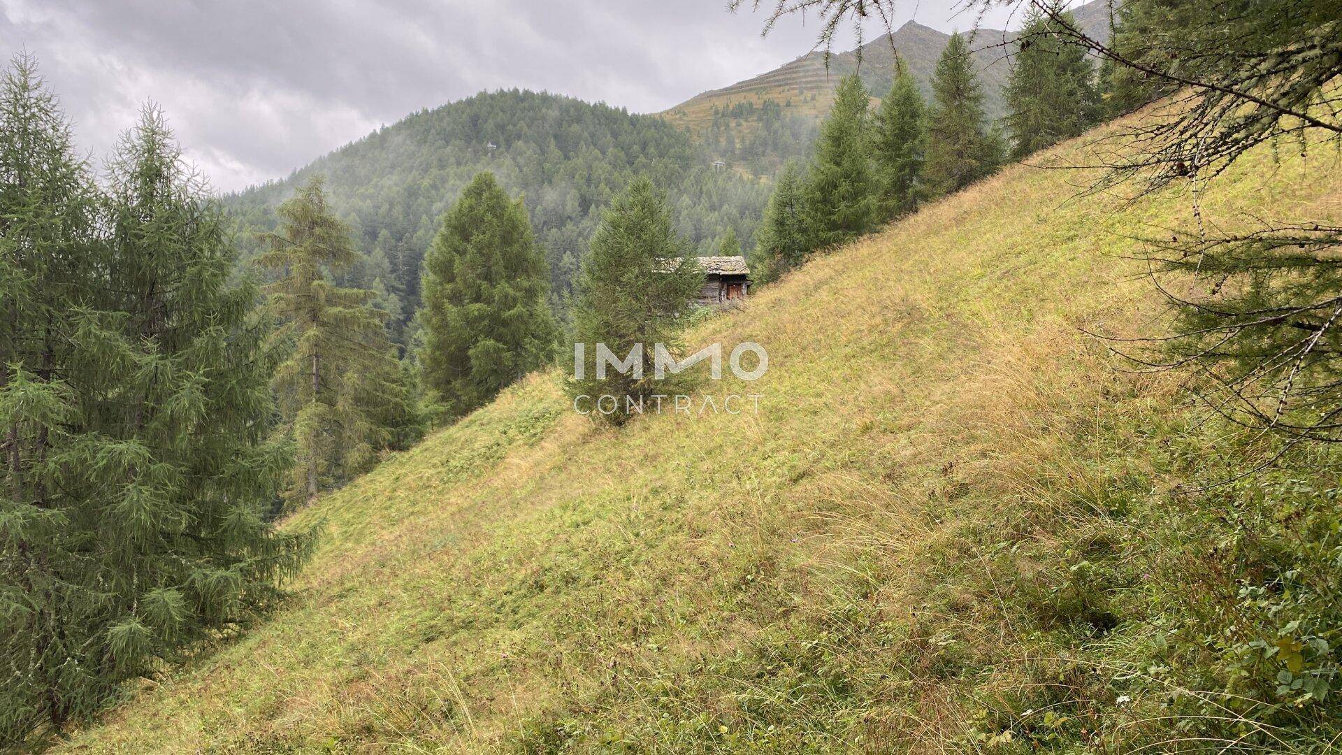 Grüner Berghang mit einer rustikalen Holzhütte, umgeben von hohen Bäumen unter bewölktem Himmel.