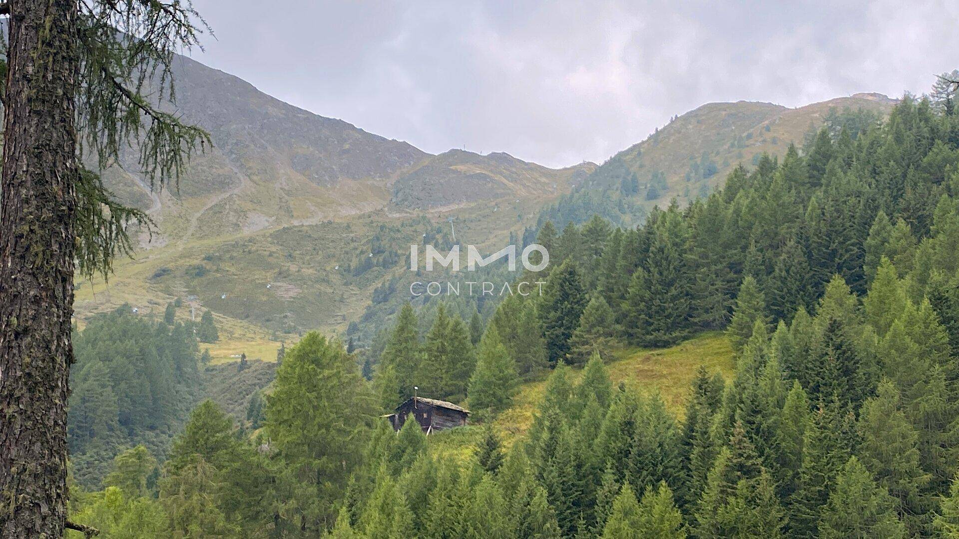 Malerische Berglandschaft mit dichtem Nadelwald und einer kleinen Holzhütte unter bewölktem Himmel.
