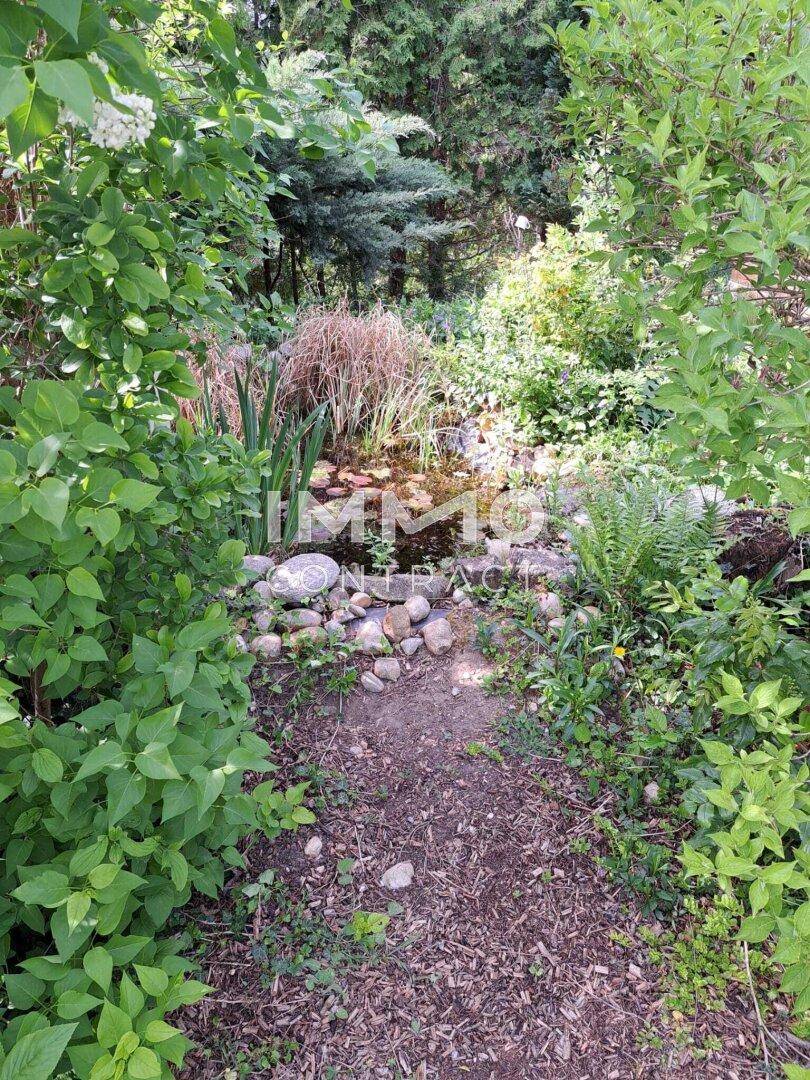 Natürlicher Gartenteich umgeben von üppiger Vegetation und Steinen.