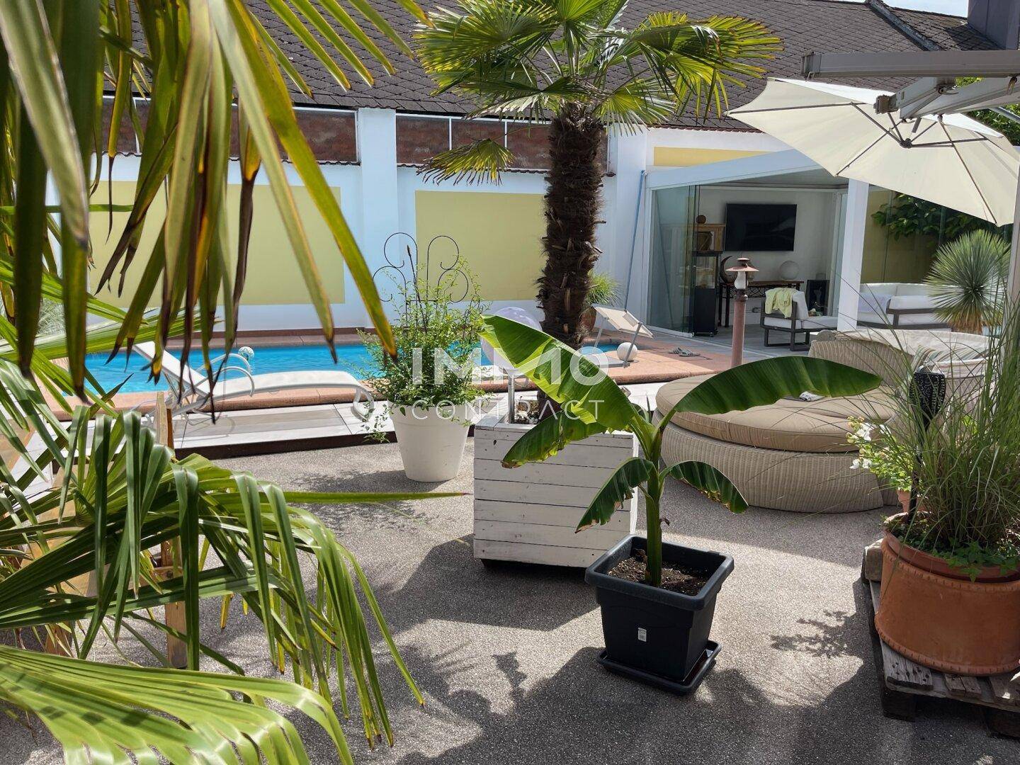 Entspannender Poolbereich mit Liegestühlen, tropischen Pflanzen und sonniger Atmosphäre.