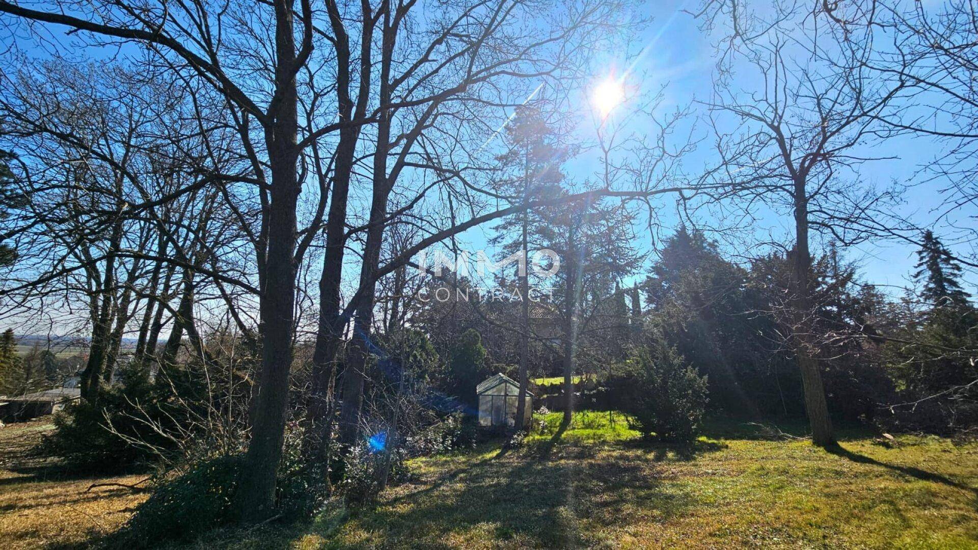 Sonniger Gartenbereich mit hohen Bäumen und einem kleinen Gewächshaus.