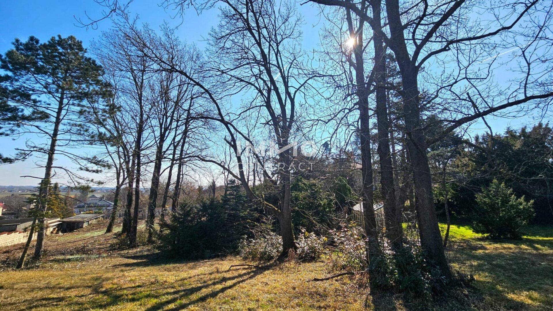 Sonniger Hang mit altem Baumbestand und weitem Blick über die Landschaft.